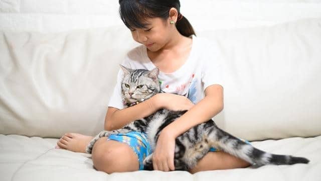 Unik dan Gemas! Inilah 7 Perilaku Kucing yang Menandakan Ia Nyaman Berada Di Dekatmu, yang Jarang Disadari!