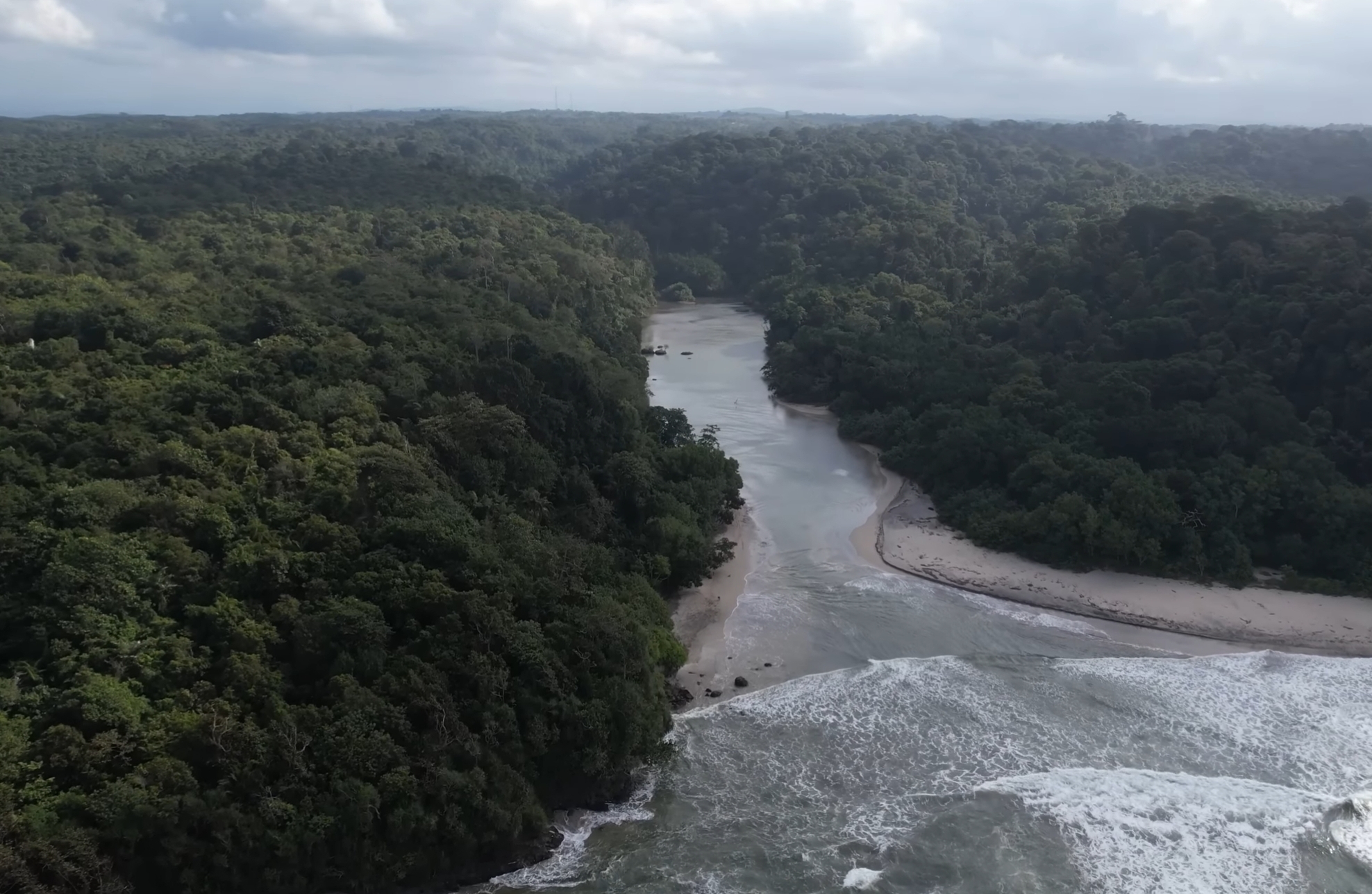 5 Fakta Leuweung Sancang, Hutan Paling 'Angker' di Pulau Jawa, Ada Tanaman Beracun dan Berbahaya