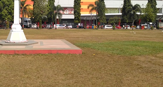 Kenali 6 Penyebab Tanaman Rumput Gajah Mini Mati, Serta Cara Mengatasinya!