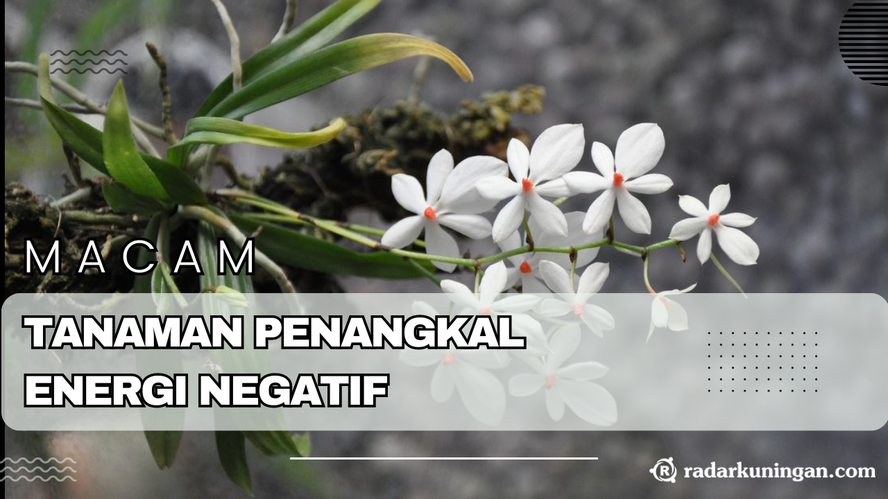 Bisa Menjaga Keharmonisan Keluarga? Ini Dia 5 Macam Tanaman Penangkal Energi Negatif