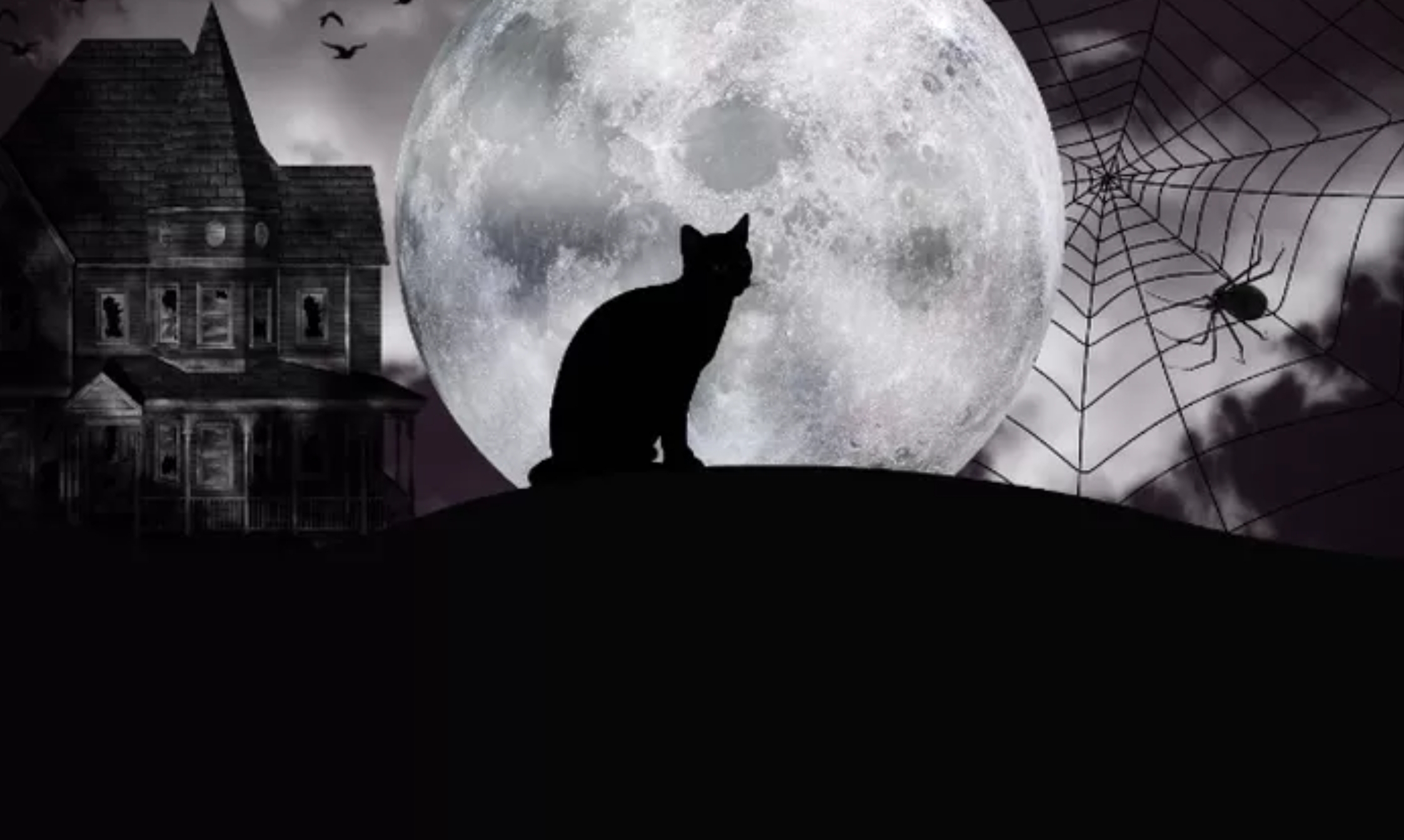 Arti Suara Kucing Mengeong Pada Malam Hari yang Kadang Suka Bikin Merinding, Ternyata Ini Alasannya