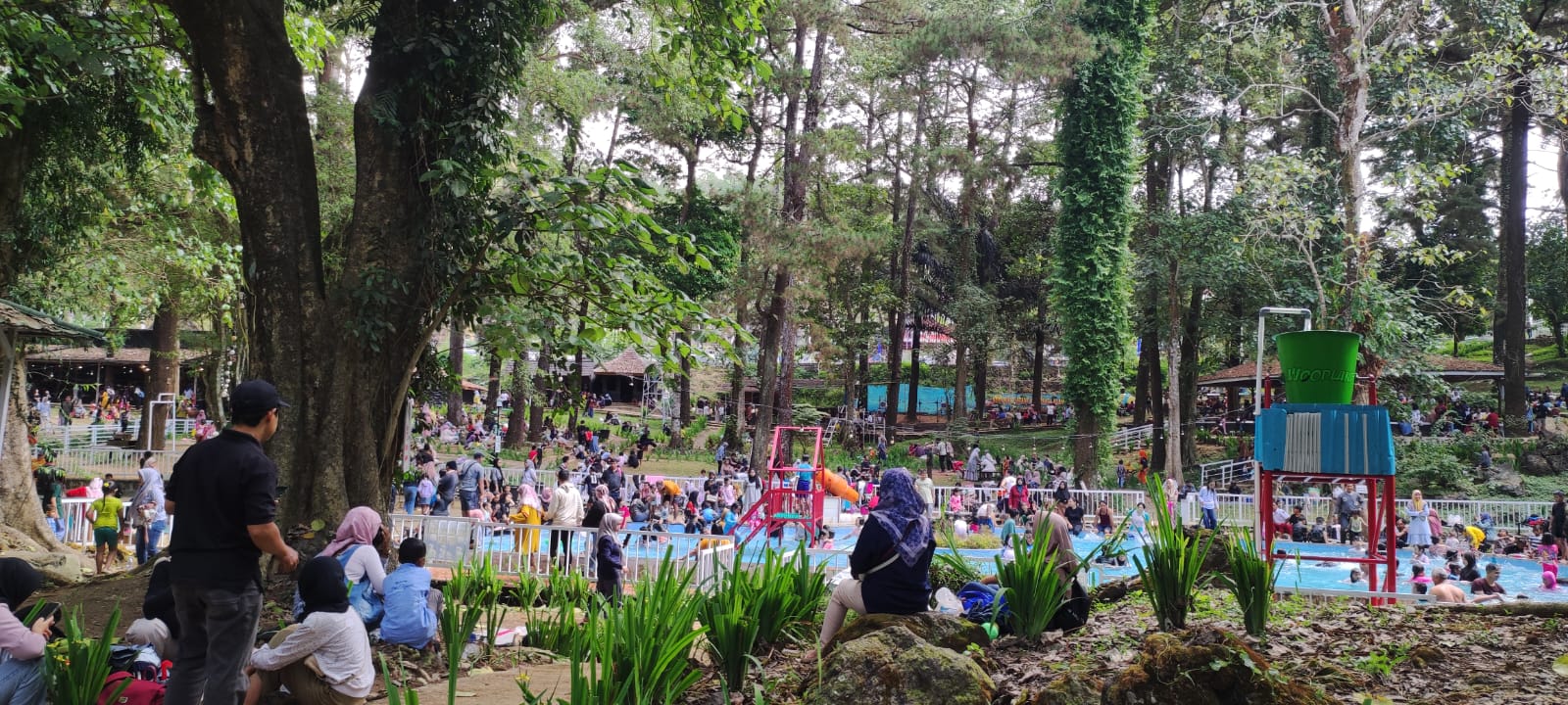 Libur Nataru, Wisata Woodland Cilimus Kuningan Destinasi Favorit Warga