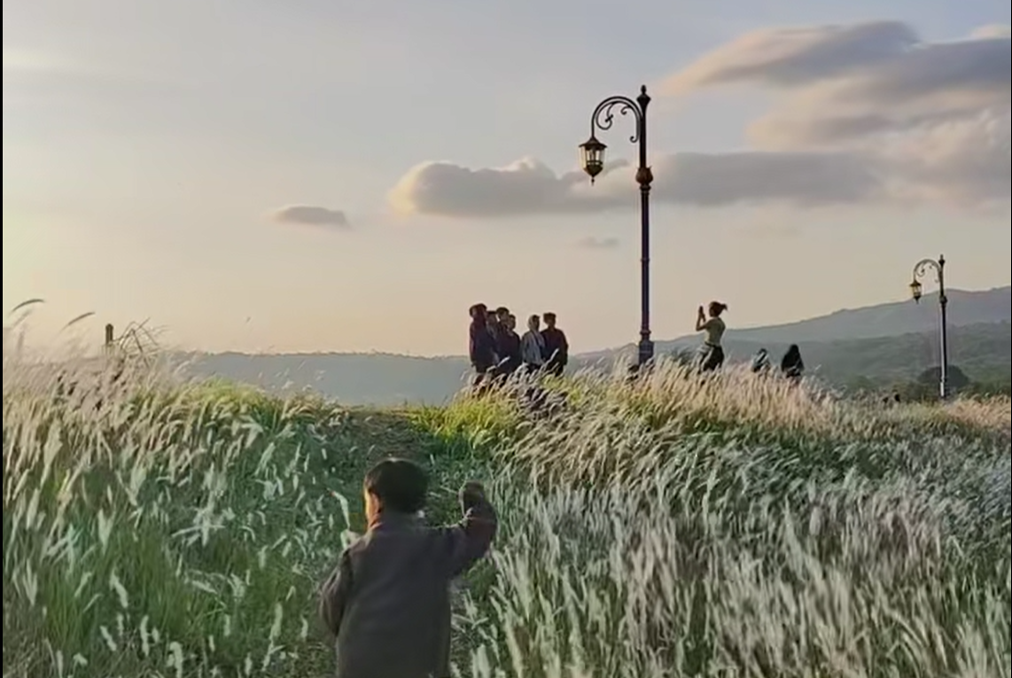 Berjarak 1 Jam dan 12 Menit dari Kota Cirebon, Ini Dia Tempat Wisata Kuningan Rasa Korea, Cek Biaya Masuknya