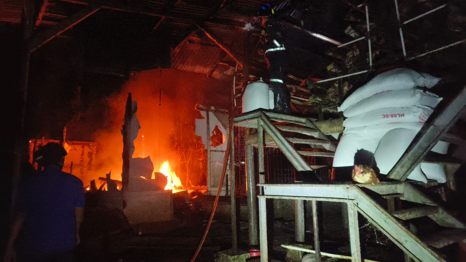 Kebakaran Gudang dan Mes Karyawan Peternakan Ayam di Kuningan, Diduga Akibat Korsleting Listrik