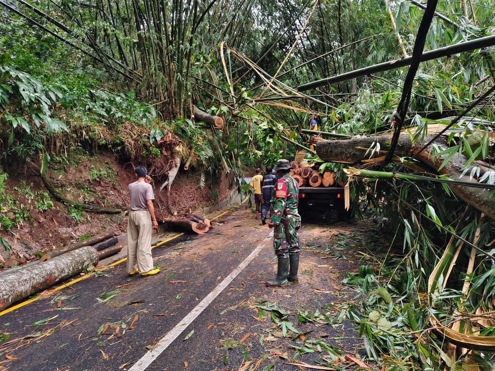 Pohon Tumbang Tutup Total Ruas Jalan Kiaradomba Desa Cileuya