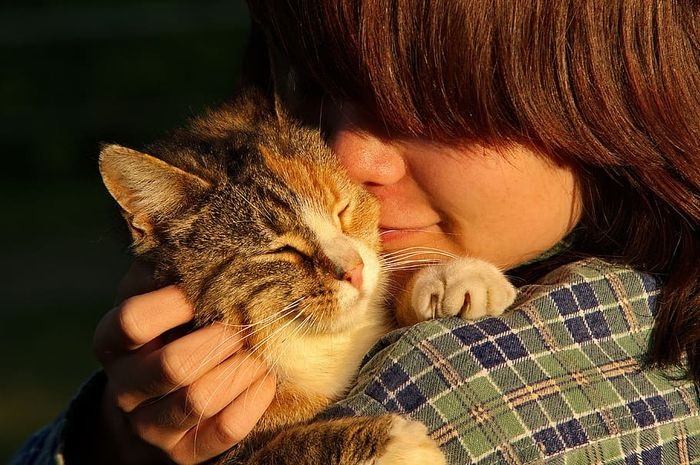 7 Tanda Kucing Sayang dengan Pemiliknya yang Menjadi Pusat Perhatian, Apakah Kucing Anda Melakukan Ini?