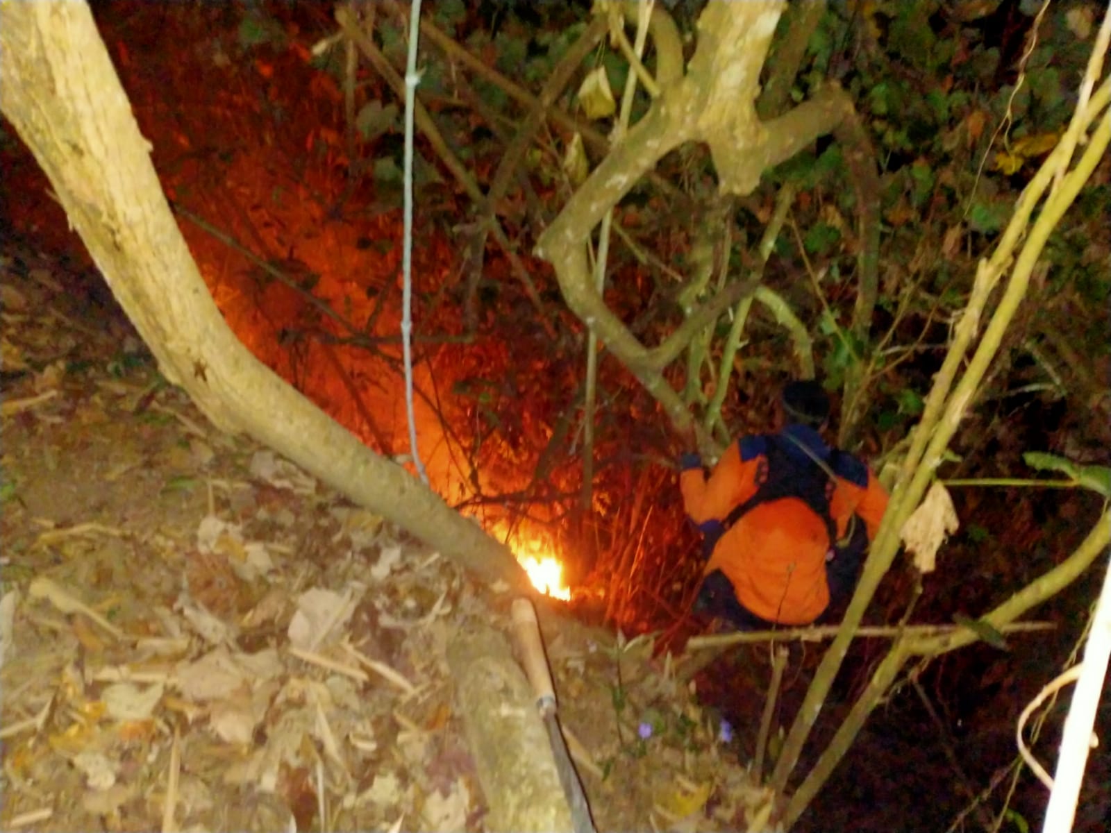 Hutan Perhutani dan Warga Kebakaran di Cipakem, Maleber, BPBD Kuningan Berjibaku Padamkan Api