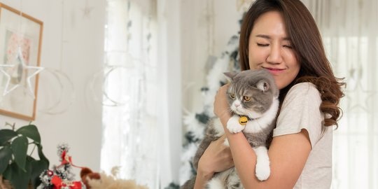 Ungkap Peneliti: ‘Usia Kucing Sama Dengan 2 Tahun Usia Manusia’ Apakah Benar? Berikut 3 Tanda Kucing Cerdas