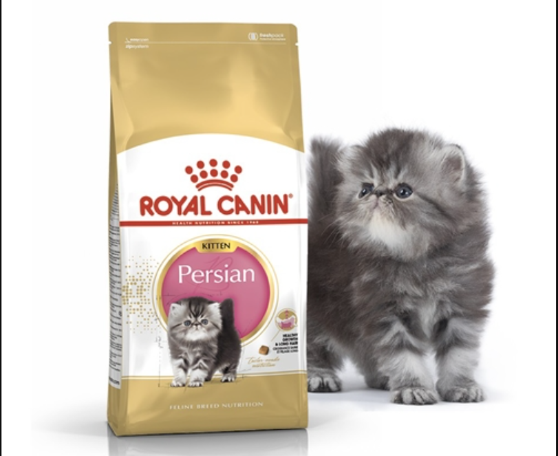 Semua yang Perlu Kalian Ketahui Tentang Makanan Kucing Royal Canin, Ini 3 Rekomendasi Produknya