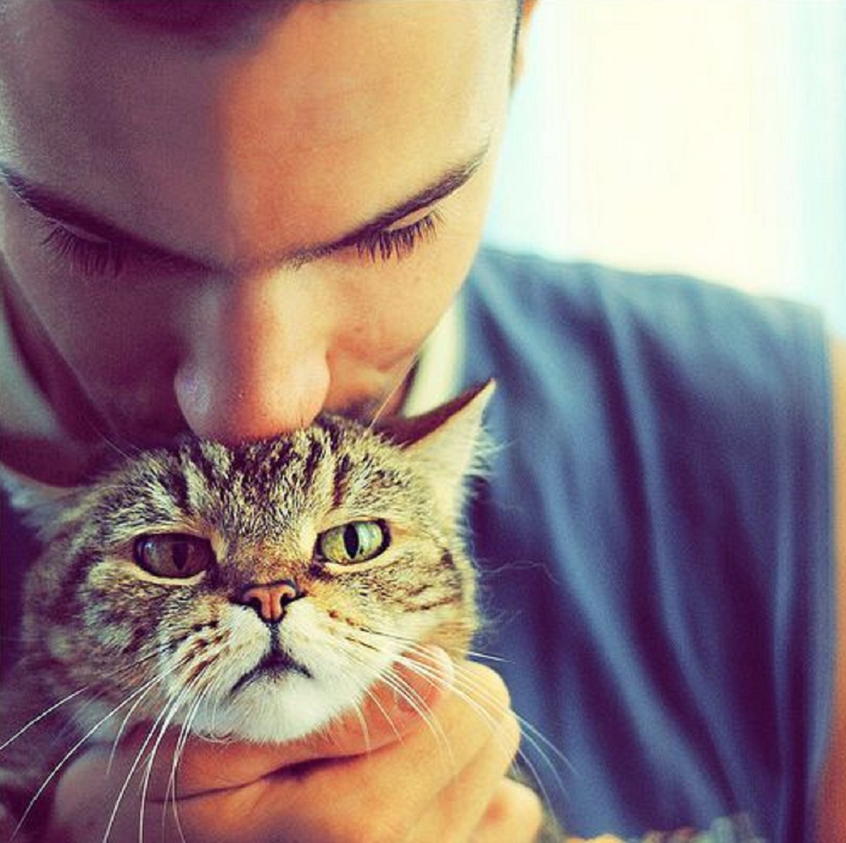 Ini Dia 5 Bentuk Cinta Kucing Kepada Majikannya Yang Jarang Disadari, Pemilik Kucing Wajib Tau!