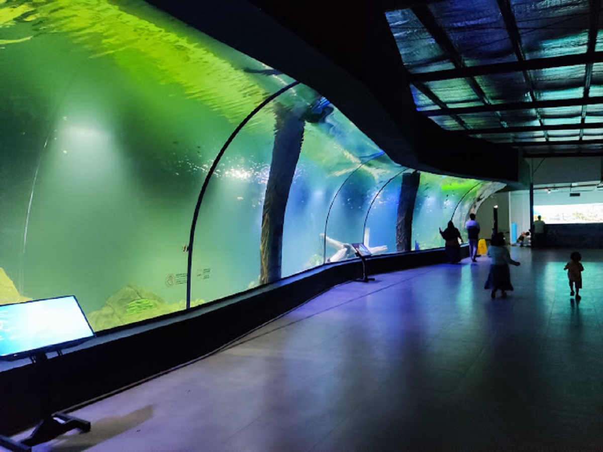 Tak Hanya Punya pantai Indah, Ada Wisata Aquarium Indonesia di Pangandaran