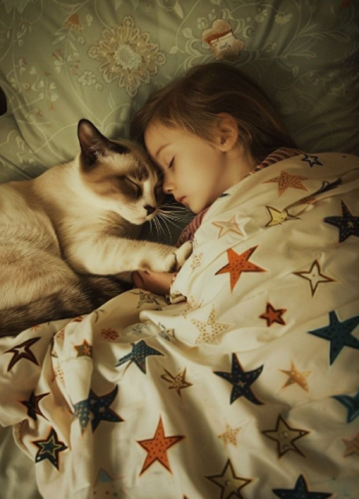 Benarkah Tidur Bersama Dengan Kucing Dapat Membuat Tidur Menjadi Lebih Nyenyak? Yuk Simak Faktanya