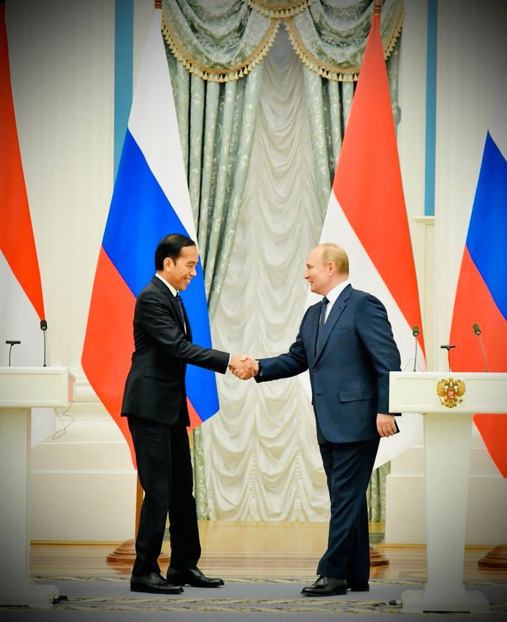 Hasil Pertemuan Jokowi dan Putin, Apa Saja? Simak Ini