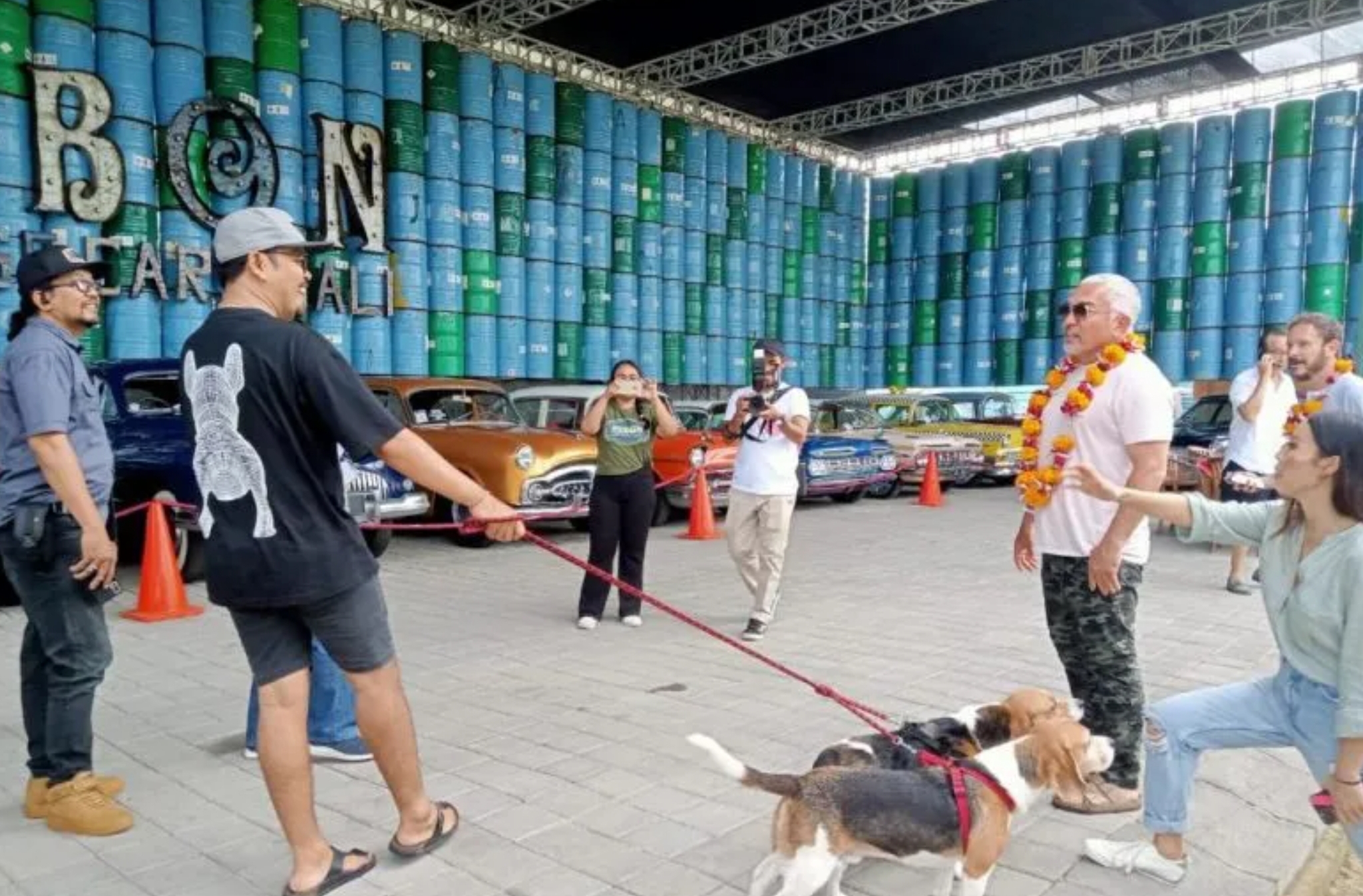 5 Cara Menuntun Anjing Ala Cesar Millan Dog Whisperer, Ternyata Mudah Loh, Yuk Coba!