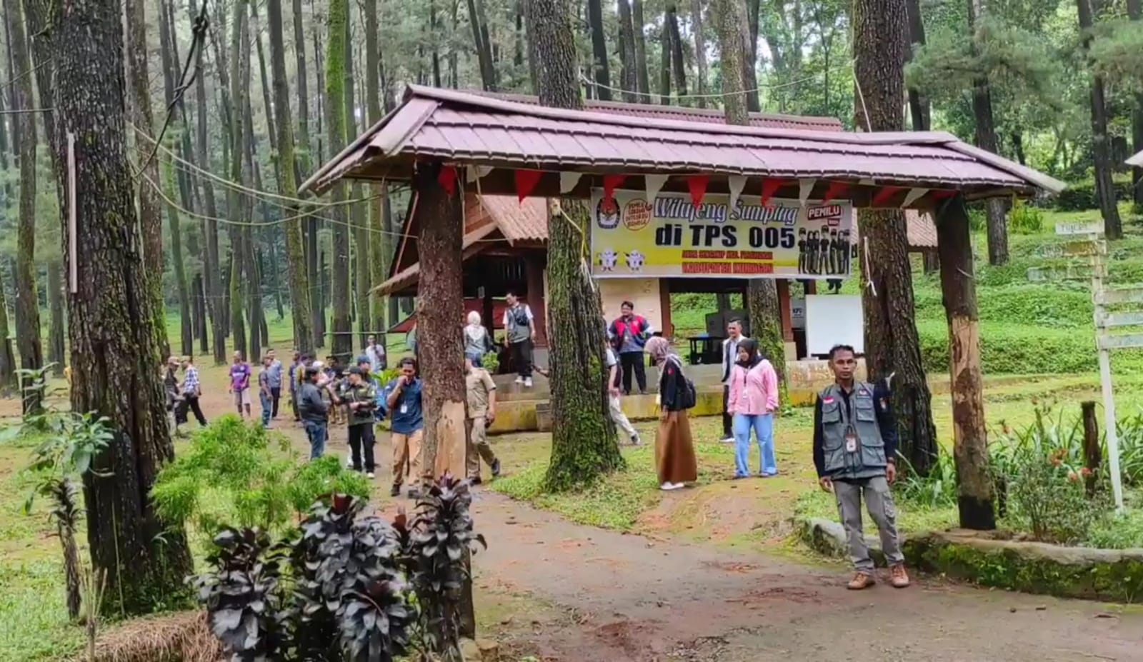 Nyoblos Sambil Healing di Kuningan, TPS Ini Ada di Hutan Pinus Gunung Ciremai, Pemandanyannya Asoy!