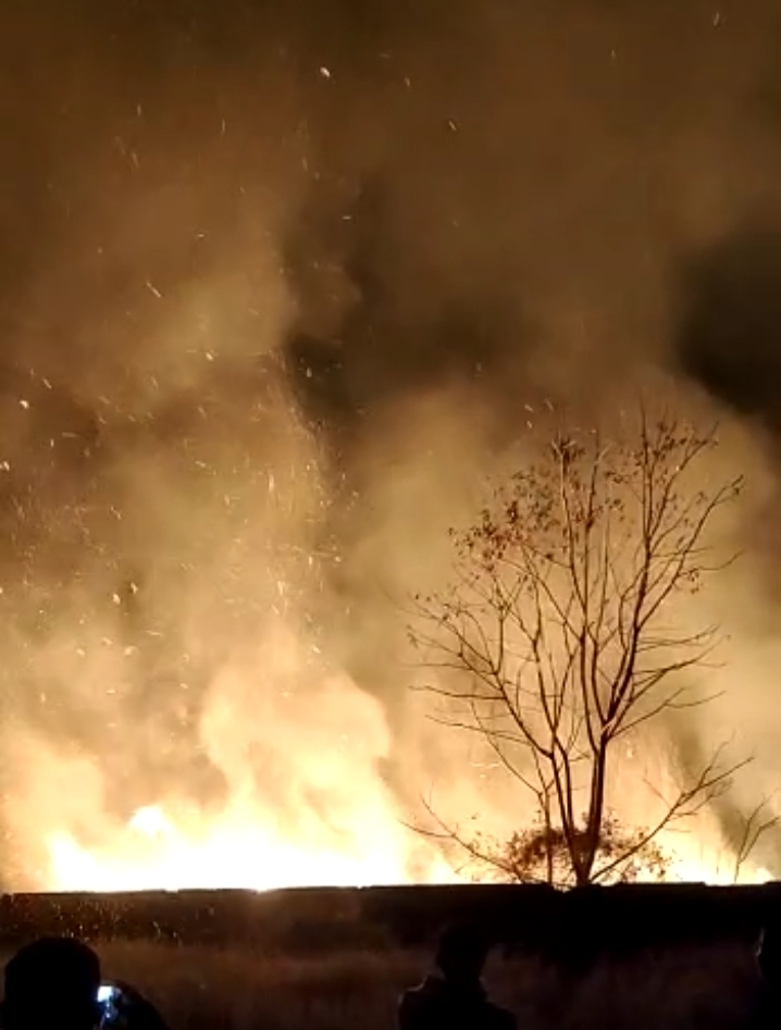 Kebun Singkong di Desa Ciomas Hangus Terbakar, Petugas Damkar Satu Jam Padamkan Api