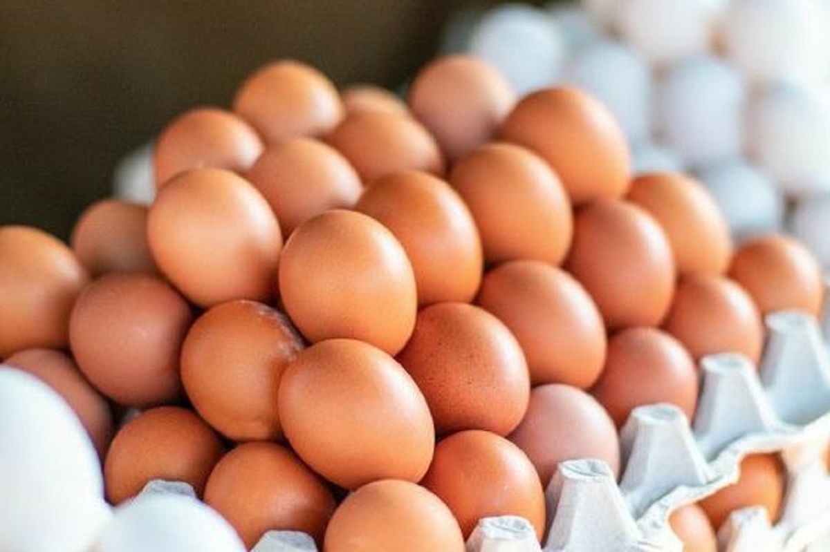 5 Manfaat Konsumsi Telur Setiap Hari yang Perlu Anda Ketahui; Nomor 4 Khusus Buat Kamu yang Sedang Diet!