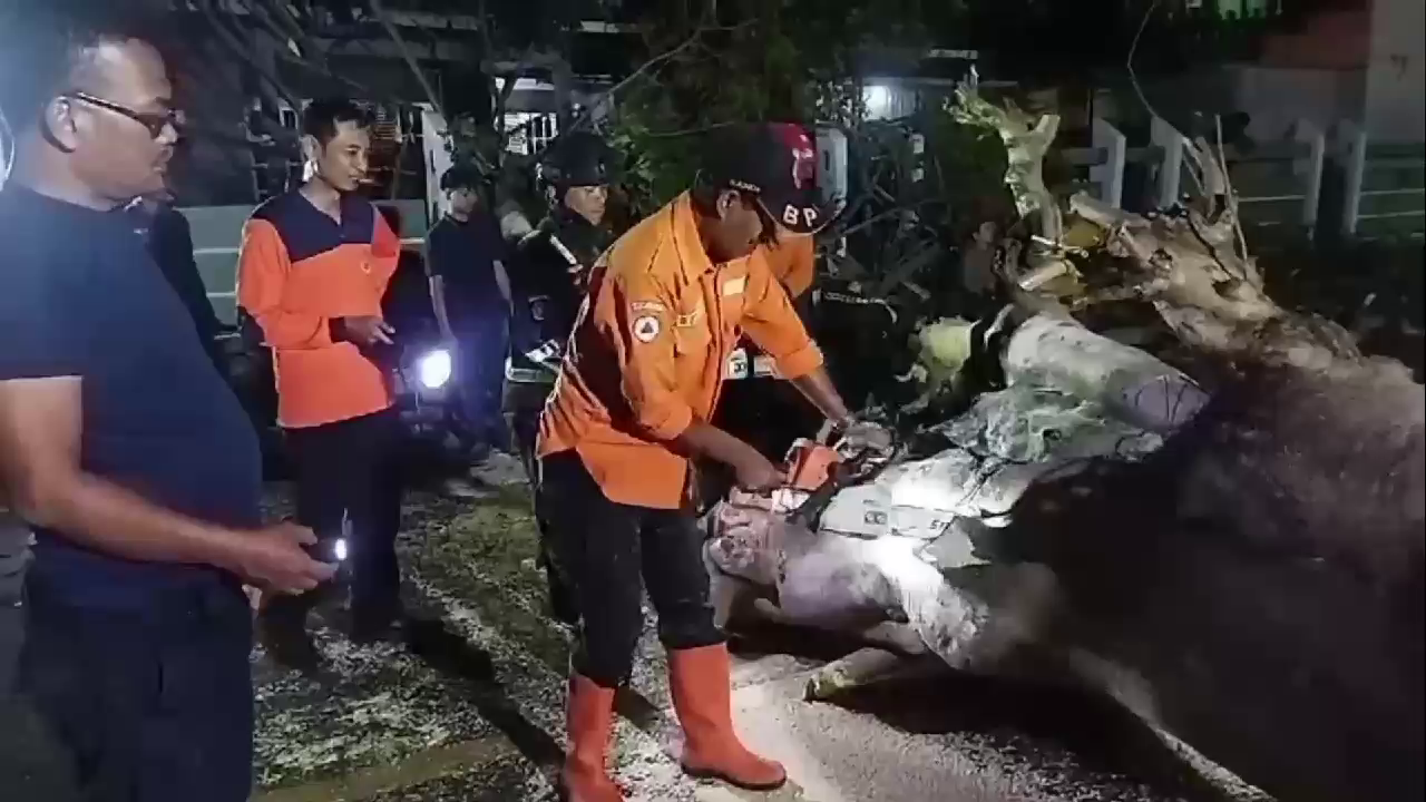 Waspada Angin Kencang Tiga Hari Kedepan, Begini Kata BMKG Kertajati