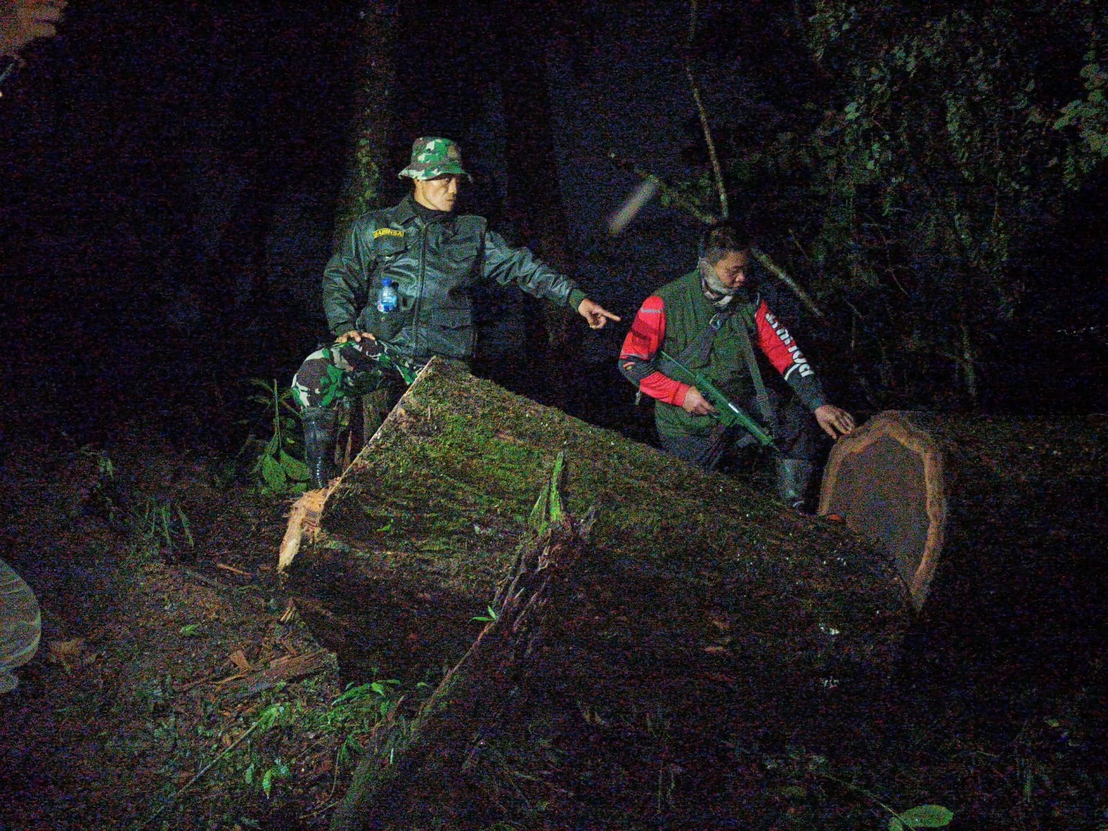 Komplotan Pembalakan Liar di Hutan Gunung Ciremai Incar Pohon Bernilai Jual Tinggi