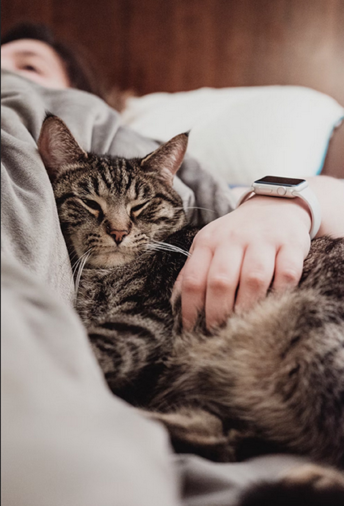 Apakah Benar Tidur Bersama Kucing Dapat Bermanfaat? Yuk Simak 5 Manfaatnya Disini