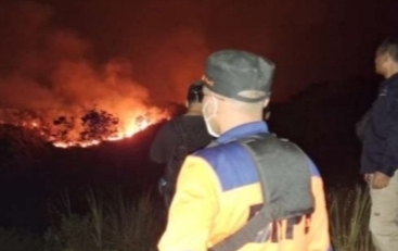 Blok Batu Kuda Gunung Ciremai Terbakar, BPBD Kuningan dan Tim Gabungan Berjibaku Padamkan Api