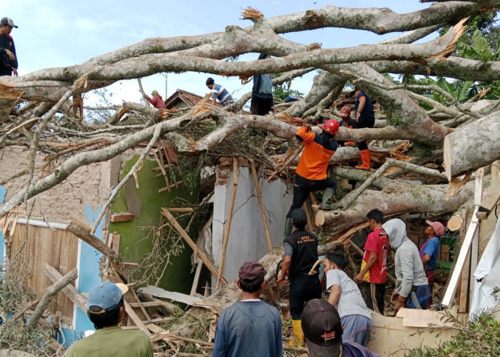 Akibat Rumah Tertimpa Pohon Tumbang, 4 Warga Desa Puncak Kuningan Dirawat di Rumah Sakit