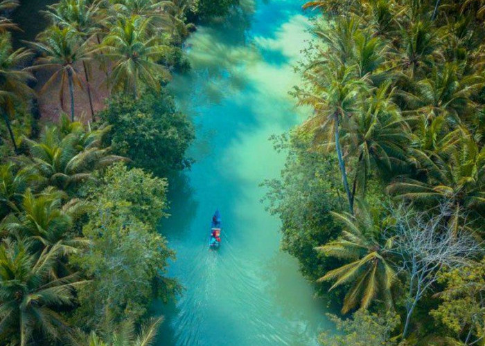 Nikmati Sensasi Liburan di 3 Tempat Wisata Menakjubkan Pacitan