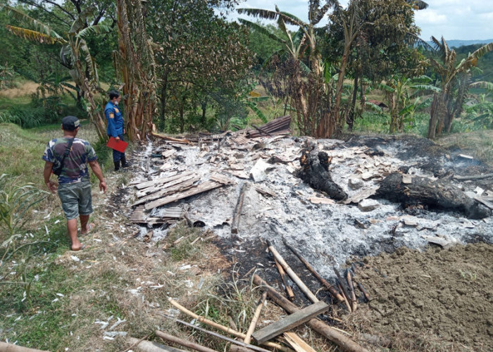 Kebakaran Kandang Ternak di Desa Sukaharja, 2 Sapi dan 4 Kambing Mati Terpanggang