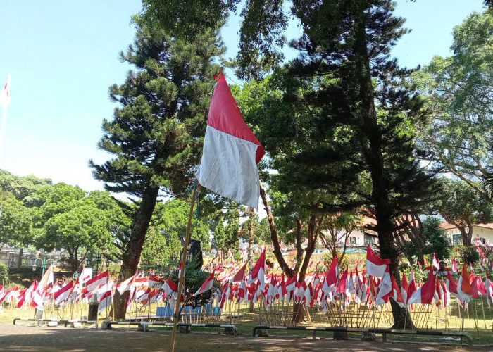 5.000 Bendera Sudah Terpasang, Aksi Relawan Minim Perhatian Pemerintah 