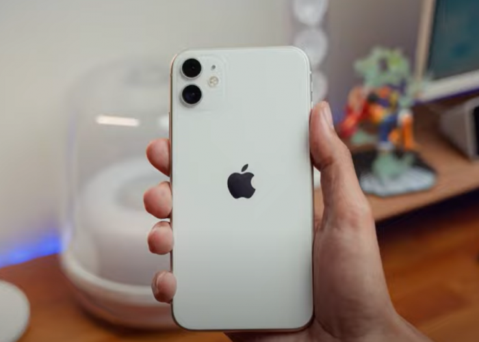 Tidak Ketinggalan Zaman, 6 Alasan IPhone 11 Masih Layak Dipakai di Tahun 2024, Turun Harga 12 Juta
