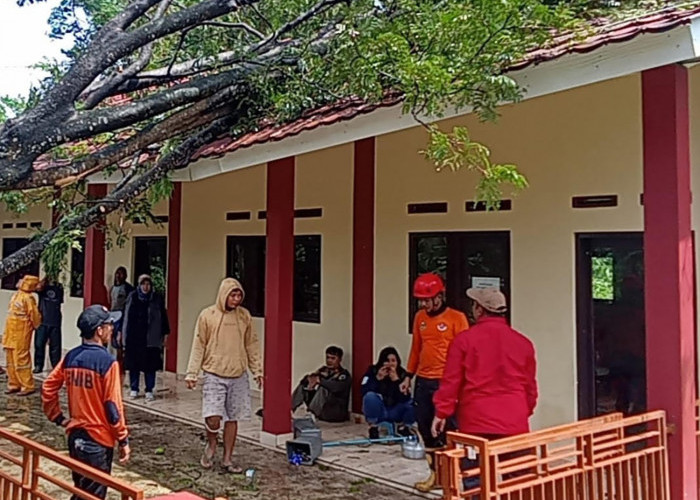 Baru Selesai Dibangun, Rumah Pulung Rusak Tertimpa Pohon