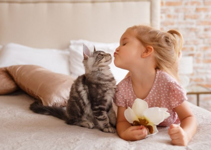 Ternyata Ini 7 Tanda Kucing Menyukai Kita, Coba Amati Apa Anabulmu Termasuk?
