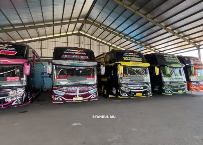 Alasan Kenapa Bus Telolet Tunggal Jaya Banyak Penggemarnya, Sampai Ada Fans Klub
