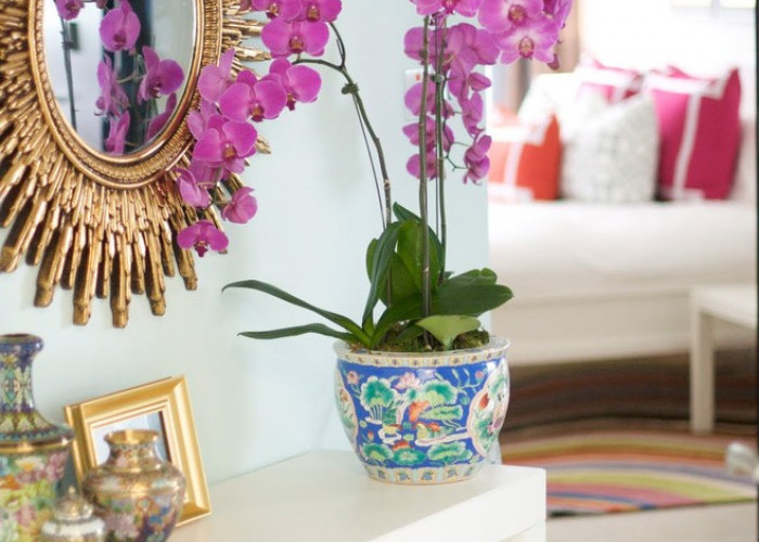 5 Pilihan Tanaman Hias Bunga untuk Dekorasi Interior, Punya Warna yang Cantik dan Aroma Harum Semerbak