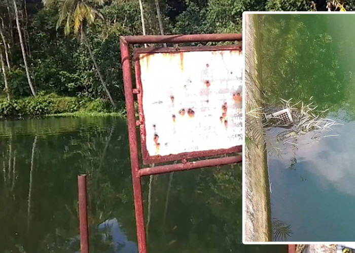 Situ Cikolet Tercemar Limbah Ayam, Warga Ragawacana Keluhkan Bau dan Gangguan Kesehatan