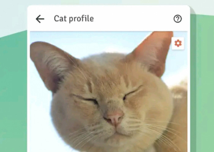 CANGGIH! 6 Aplikasi yang Bisa Mencari dan Melacak Kucing Hilang, Hanya dengan Mengunggah Foto Kucing