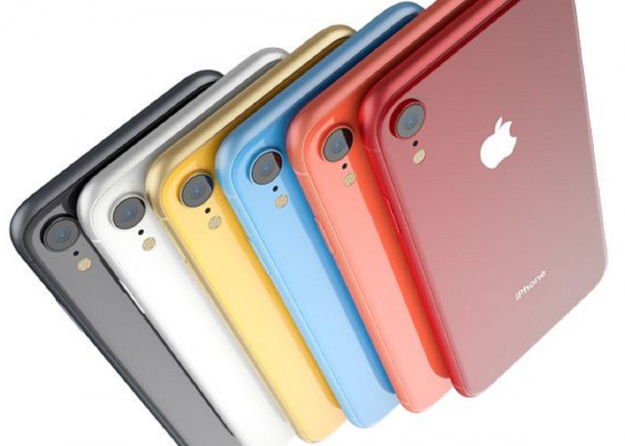 Makin Merosot! Ini Dia Harga iPhone XR di Tahun 2024, Masih Worth It?