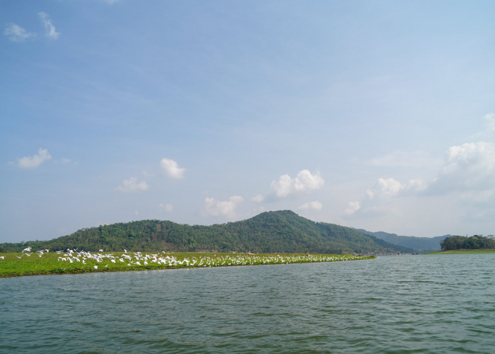 Mau Berlibur Di Waduk Darma Kuningan? Simak Dulu Panduan Liburan Seru Di Waduk Darma Kuningan Ini!