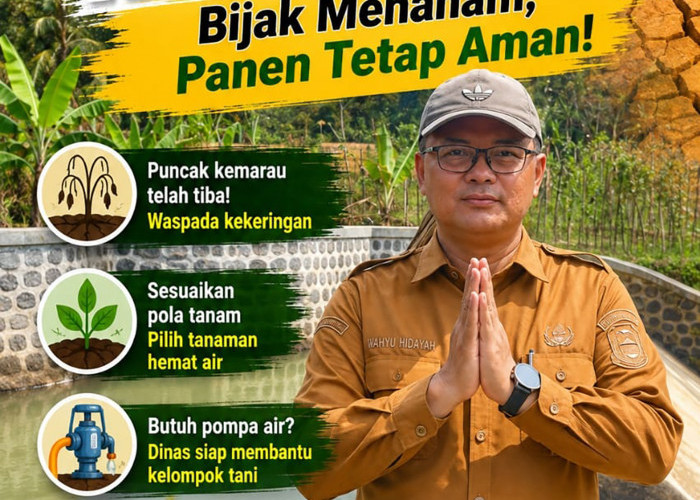 Puncak Kemarau, Diskatan Kuningan Imbau Petani Sesuaikan Pola Tanam