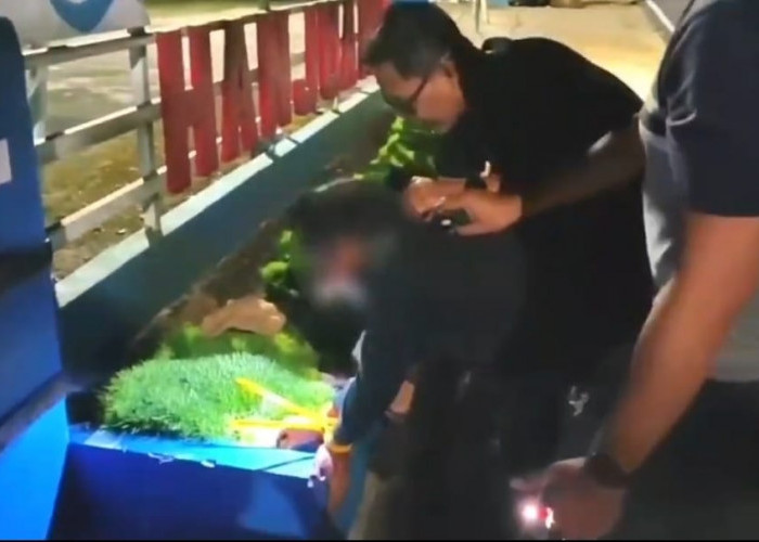 Budidaya Ganja di Rumah, Pria Kuningan Terancam 20 Tahun Penjara