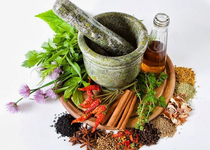 Kaya Manfaat, 6 Macam Tanaman Obat yang Mudah Ditanam di Rumah, Bisa Untuk Obat Herbal Sekaligus Bumbu Dapur