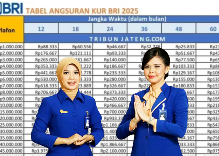 Detail Cicilan KUR BRI 2025 Rp60 Juta, Tenor Bisa Disesuaikan Kebutuhan Usaha!