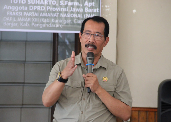 Ledakan Populasi Monyet dan Babi Hutan di Desa Seda, Petani Terancam Tinggalkan Lahan Garapan