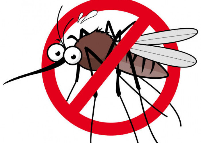 Punya Suara yang Ditakuti Nyamuk, Ini Nih 5 Aplikasi Pengusir Nyamuk, yang Bisa Diunduh Gratis di Hp