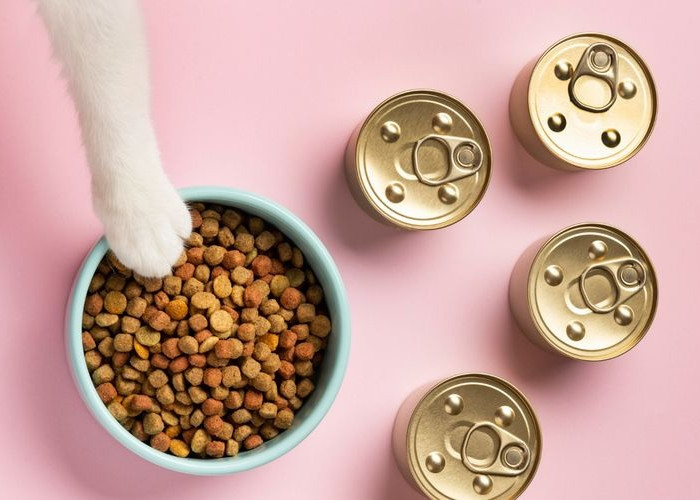 Anabul Suka Ini! 5 Merk Makanan Kucing Berkualitas Dengan Harga Ekonomis, Cocok Untuk Kucing Kesayangan!