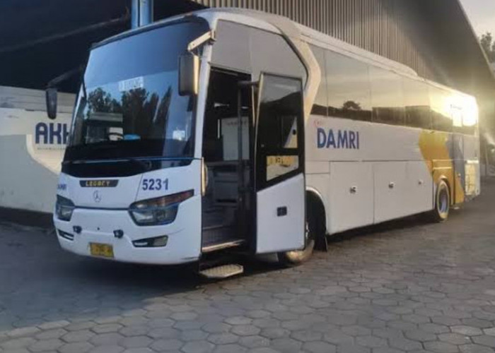 Jadwal Bus Damri Bandung ke Bandara Kertajati, Berangkat Tiap 1 Jam