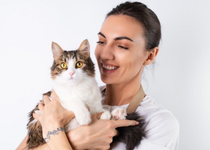 Inilah 4 Manfaat Memelihara Kucing Bagi Kesehatan Pemilik! Nomor 4 Bisa Bikin Jantung Sehat