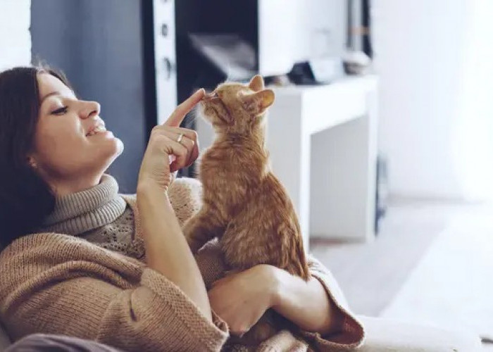 Ini Dia 5 Manfaat Kesehatan Memelihara Kucing, Cocok Untuk Lansia Makin Produktif! Kamu Sudah Pelihara?