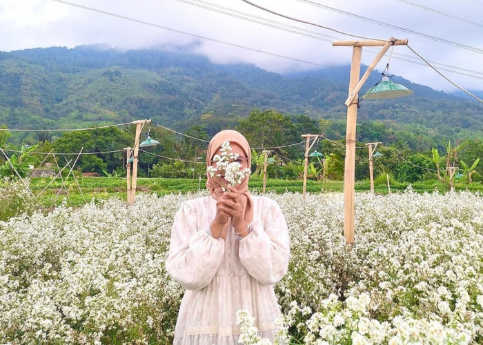 Ini Dia 3 Destinasi Wisata Tersembunyi yang Masih Jarang Dijelajahi Wisatawan di Kuningan Jawa Barat