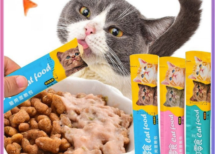 Berikut 5 Makanan Kucing Murah dan Berkualitas, Cocok Untuk Anabul Agar Terpenuhi Nutrisinya! Ketahui Yu